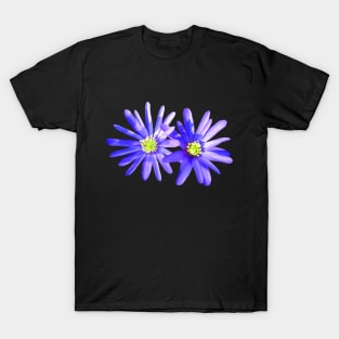 blue anemones, flowers, flowers T-Shirt